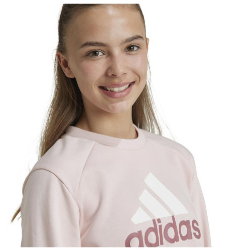 Adidas Παιδικές φόρες σετ Big Logo French Terry Tracksuit